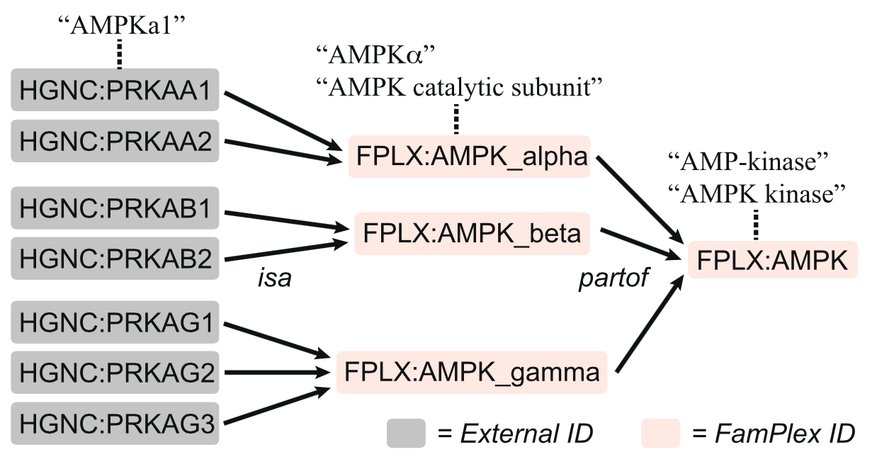 Hierarchical structure of FamPlex relationships.