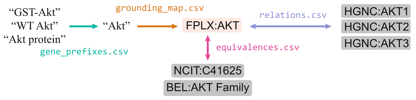 Structure of the FamPlex resource.